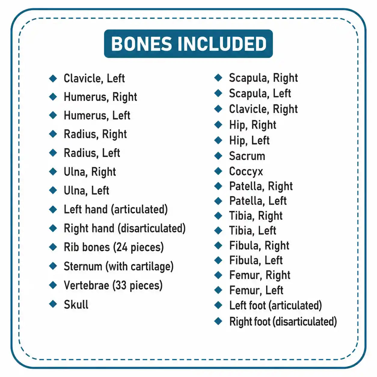 A product information graphic titled 'BONES INCLUDED' on a white background with a teal border and bullet points listing bone names and quantities.