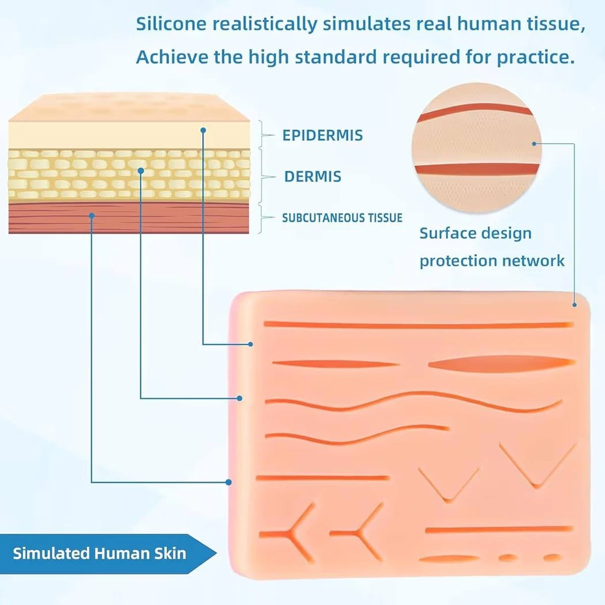 Diagram of simulated human skin with layers labeled and a close-up of surface design.
